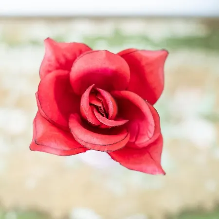 Colors House On The By Pleiades 아파트 *